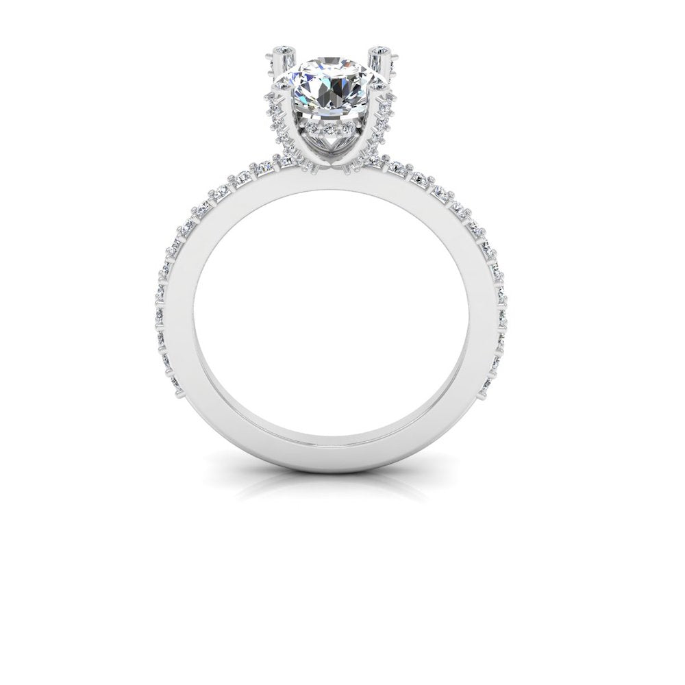 Brilliant Cut Prong & Bezel Moissanite Engagement Ring front