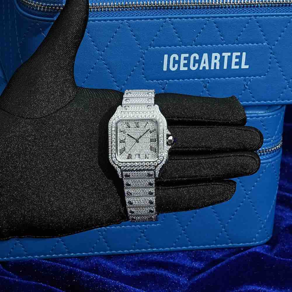 VVS Moissanite watch hand