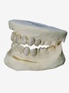 8 on 8 VVS Moissanite Diamond Grillz - Yellow Gold